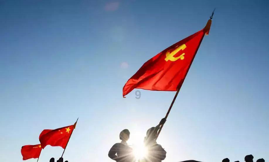 小仓鼠吃瓜子